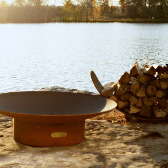 Fire pit and stacked logs on a lakeside with trees in the background