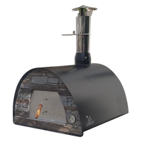 Outdoor pizza oven with stone design on a white background