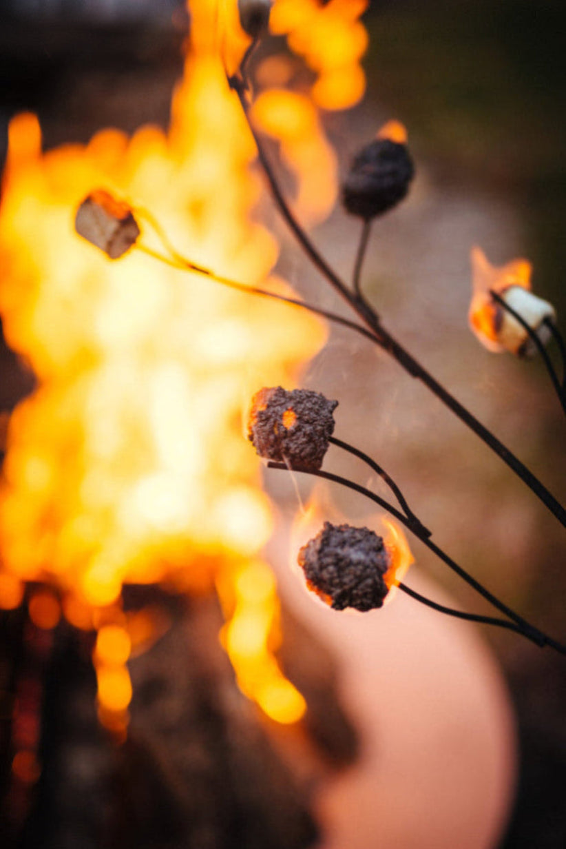Marshmallows on sticks being roasted over a campfire